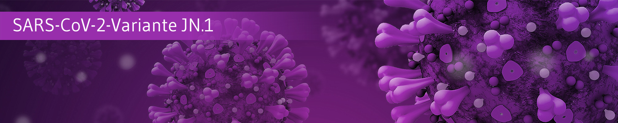 Die-GPK-informiert-sars-cov-2-jn1