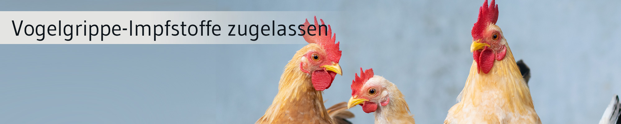 Die-GPK-informiert-Vogelgrippe-Impfsoff
