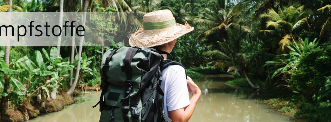 Chikungunya-Impfstoff für Jugendliche auf der Zielgeraden