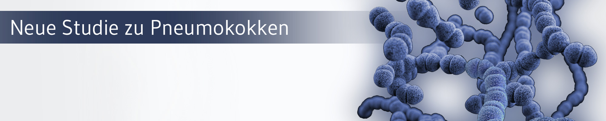 Die-GPK-Informiert-Pneumokken-Studie