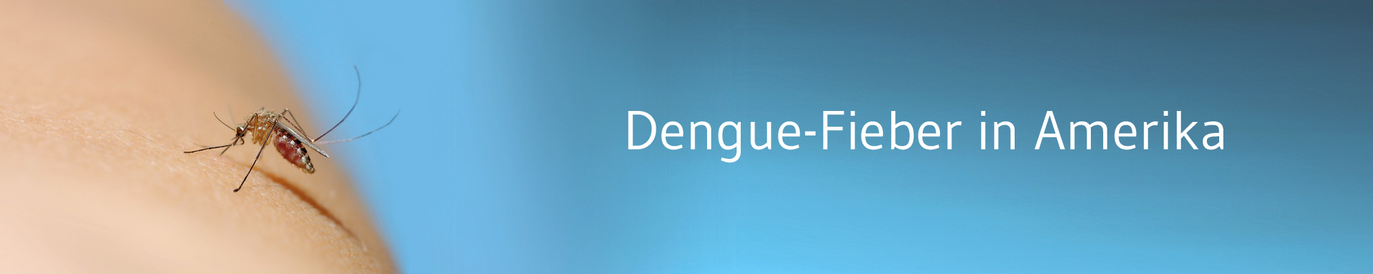 Die-GPK-informiert-Dengue-Amerika