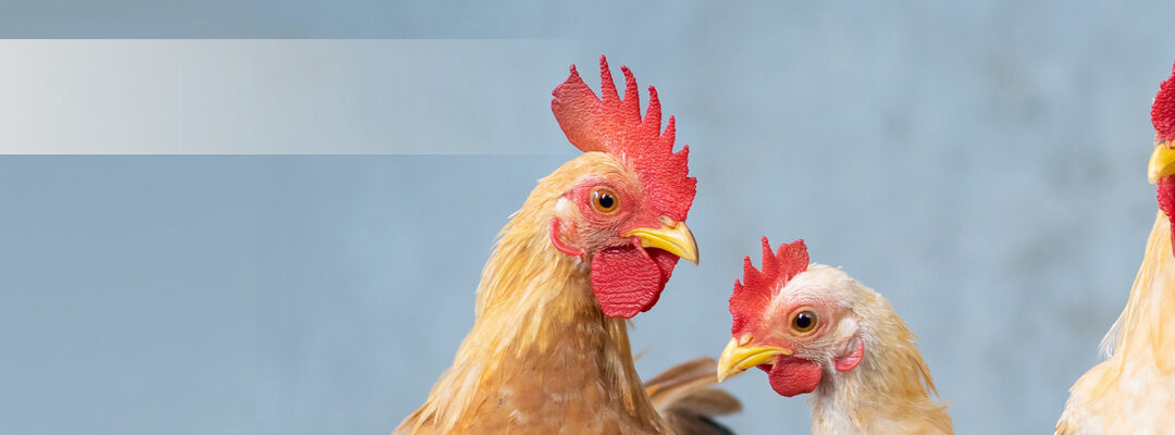 EU-Agenturen verfolgen Virusmutationen und analysieren Reaktionsstrategien