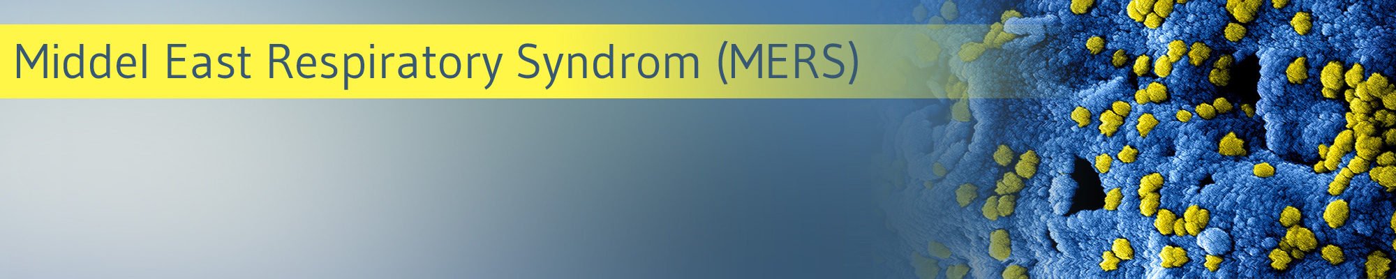 Die-GPK-informiert-MERS