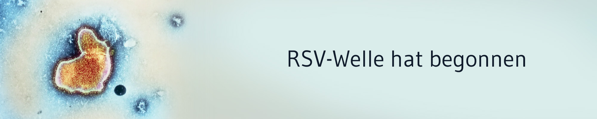 Die-GPK-informiert-RSV-Welle-2025