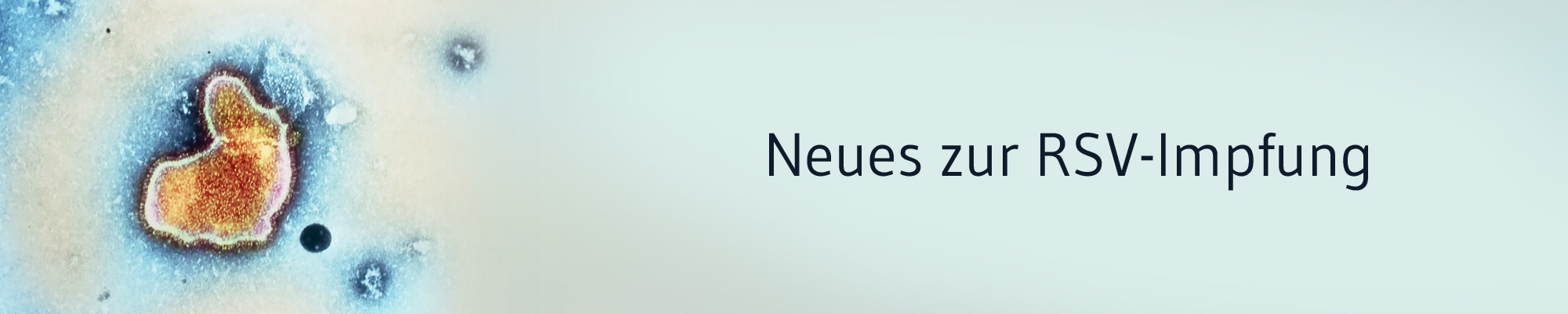 Die-GPK-informiert-neues-RSV