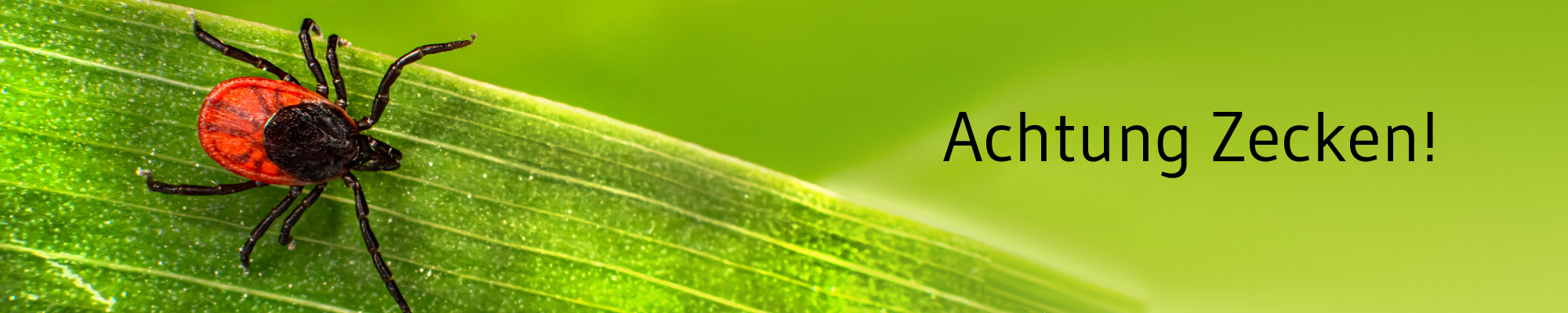 Die-GPK-informiert-Zecken