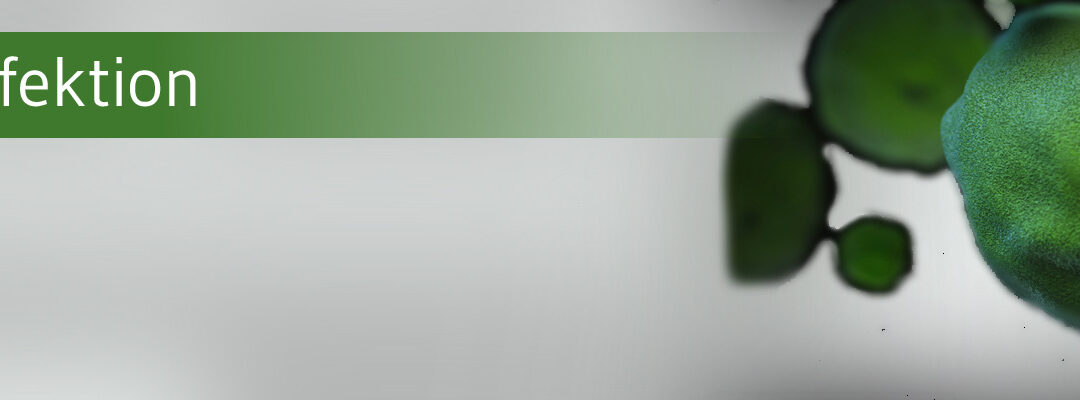 Schnellspur für Impfstoff-Entwicklung in den USA