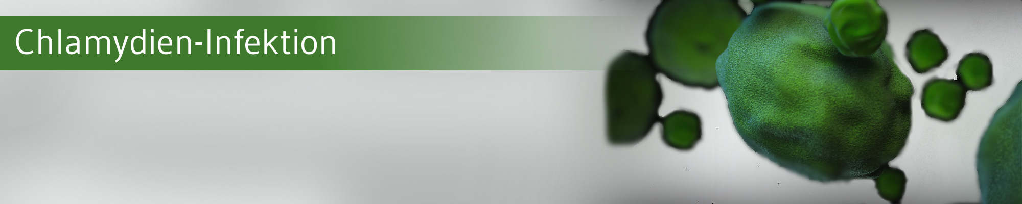 Die-GPK-Informiert-Chlamydien