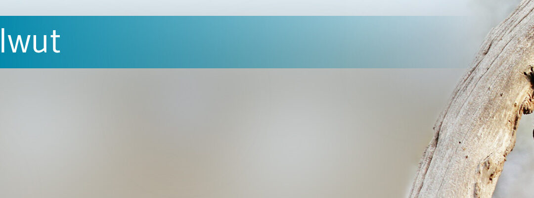 Vorsorglich 36 Kinder geimpft