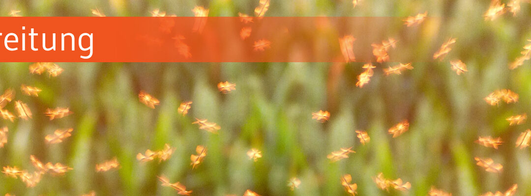 Mit Tropenkrankheiten ist auch in Deutschland zu rechnen