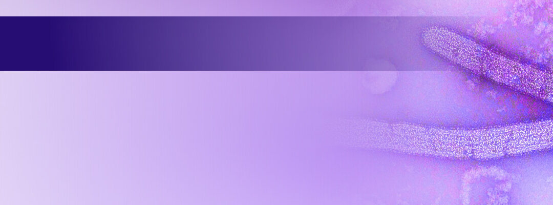 Kann das Ebolavirus im Menschen persistieren?