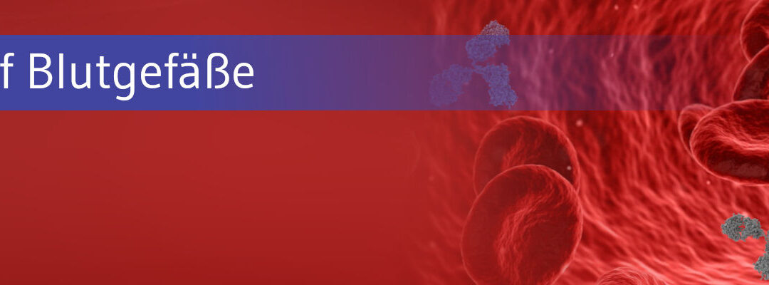 Covid könnte Blutgefäße schneller altern lassen