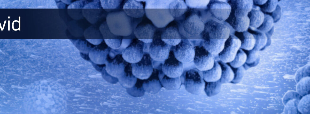 Infektionen wecken schlafende Krebszellen