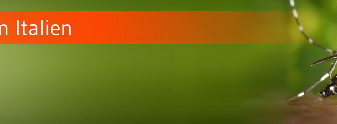 STIKO-Empfehlung: Chikungunya-Impfung aktuell auch für Italienreisende