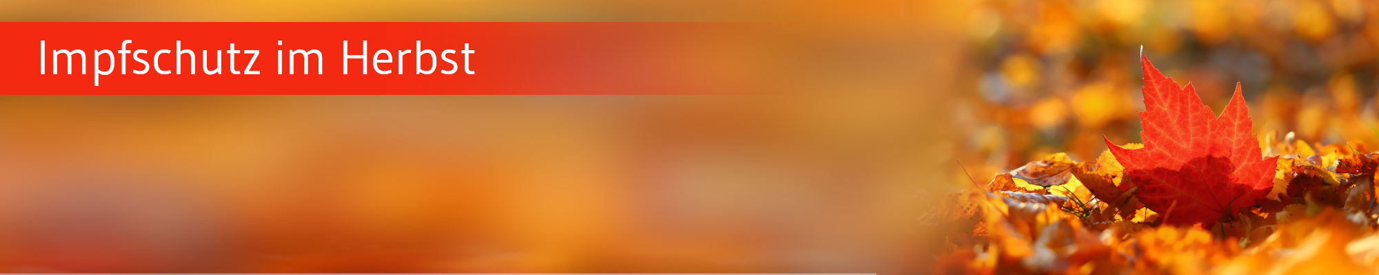 Die-GPK-Informiert-Herbstimpfungen