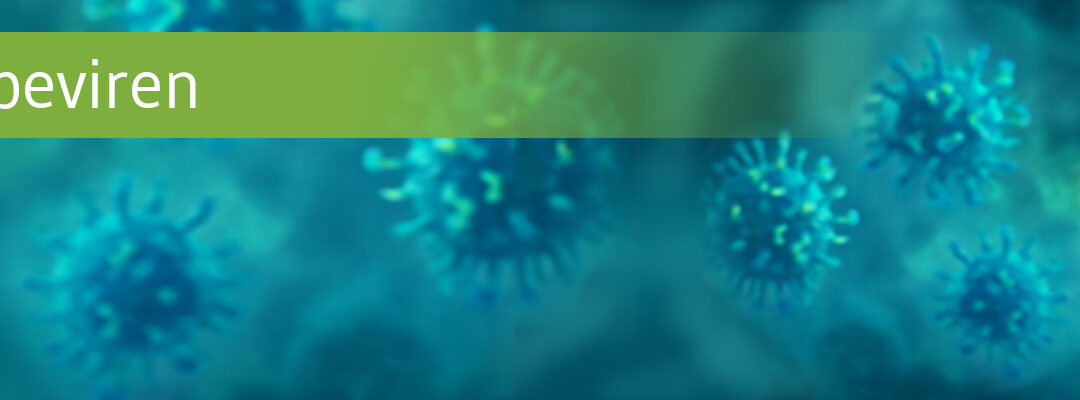 Grippevirus mutiert: Wirkt die Impfung trotzdem?