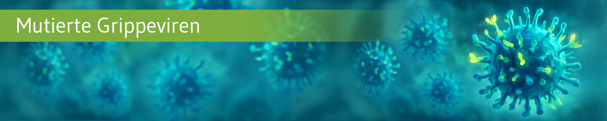 Grippevirus mutiert: Wirkt die Impfung trotzdem?