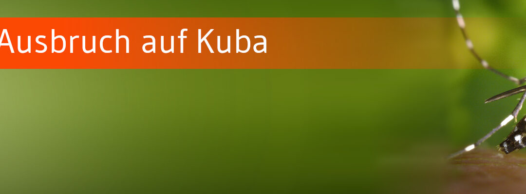 RKI registriert mehr Reiserückkehrer mit Chikungunya