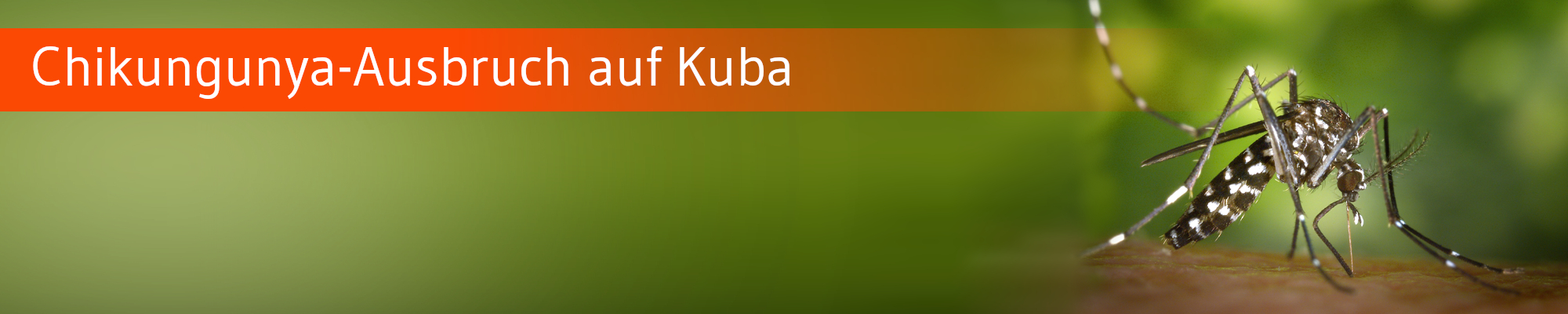 RKI registriert mehr Reiserückkehrer mit Chikungunya