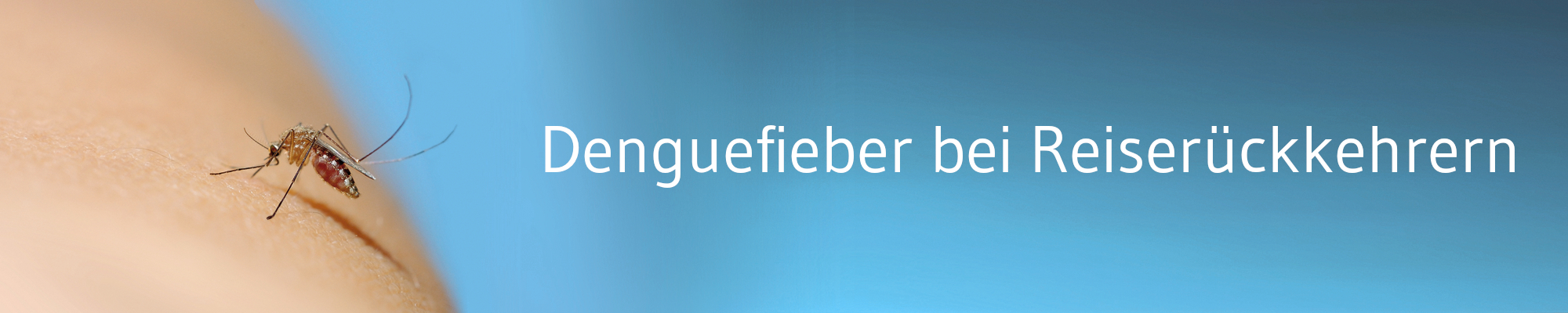 RKI: Zunehmend Fälle von Denguefieber bei Malediven-Rückkehrern