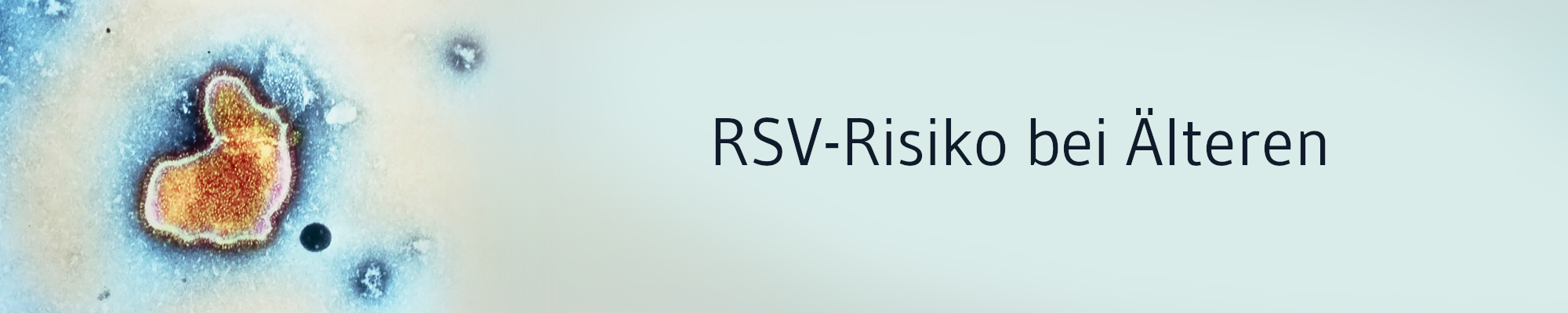 RSV: Höheres Risiko für Herzinfarkte