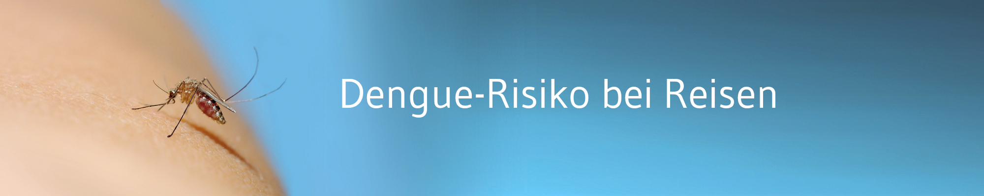 Noch wenig Daten zu Dengue-Risiko bei Reisen in Endemiegebiete